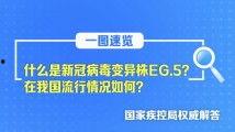 亚精产品二三三区视在线,探索创新科技的魅力